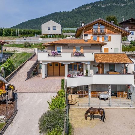 مبيت وإفطار Romallo Horse House المظهر الخارجي الصورة