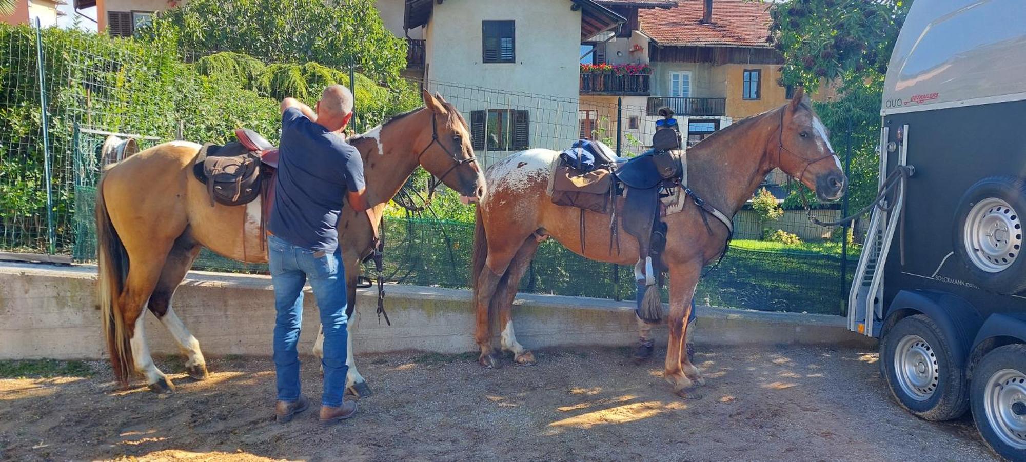 مبيت وإفطار Romallo Horse House المظهر الخارجي الصورة